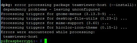 Installing TeamViewer on Raspberry Pi