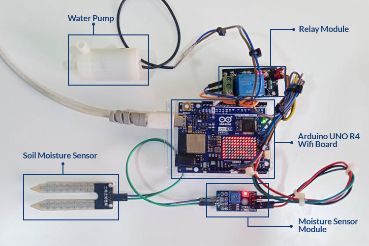 Automatic Plant Watering System Hardware Setup