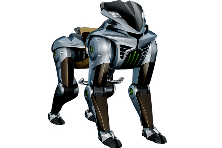 Kawasaki CORLEO