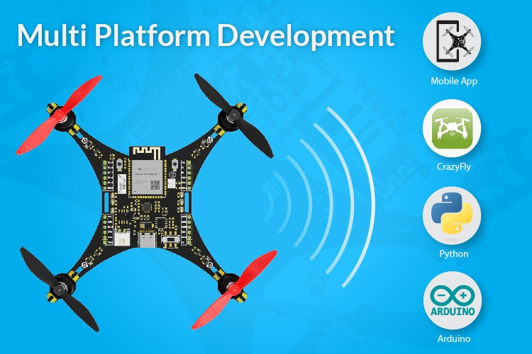 Multi Platform Development LiteWing Drone