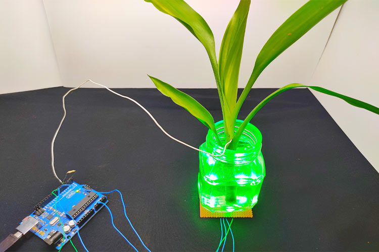 Touch Sensitive Color Changing Plants using Arduino and RGB LEDs Touch Sensitive Color Changing Plants using Arduino and RGB LEDs