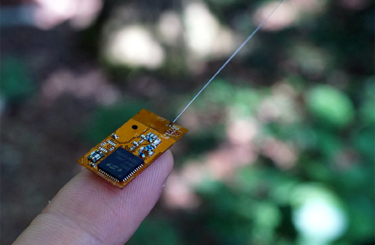 Backpack Computers to Track Wild Animals Backpack Computers to Track Wild Animals