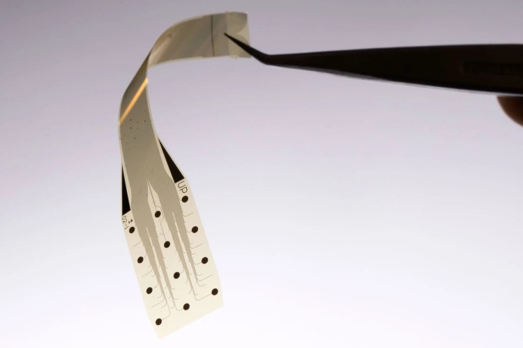 Graphene based brain implant electrodes Graphene based brain implant electrodes