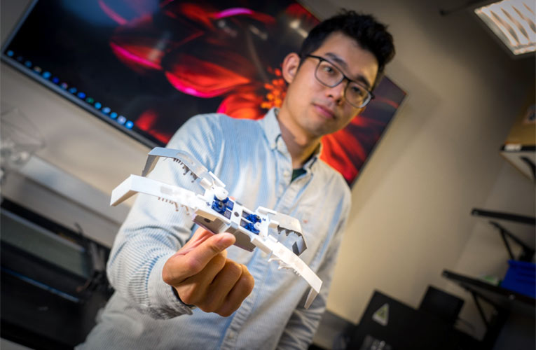 Insect-Inspired Flexoskeleton Robots Insect-Inspired Flexoskeleton Robots
