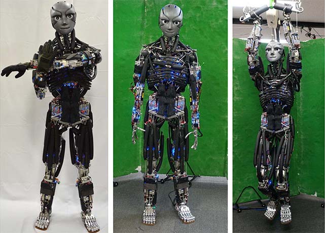 Kengoro a Humanoid Robot Kengoro a Humanoid Robot