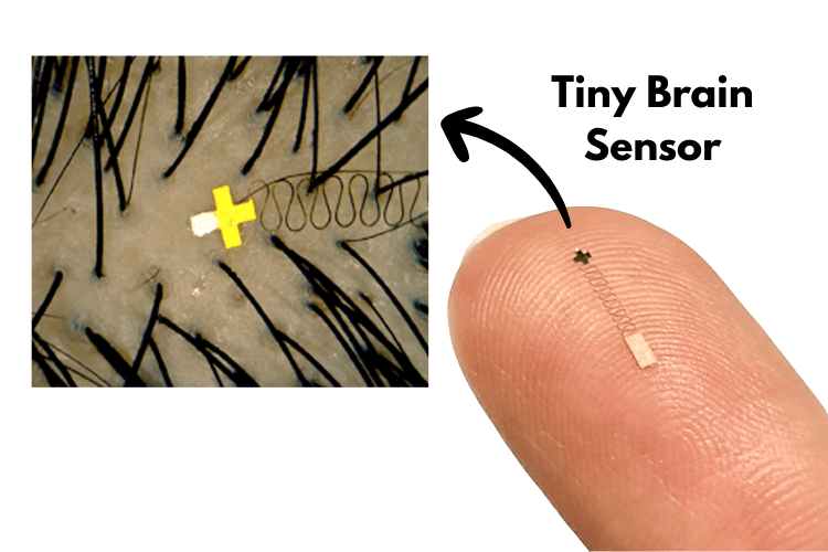 Tiny Brain Sensor that Fits Between Hair Strands Tiny Brain Sensor that Fits Between Hair Strands
