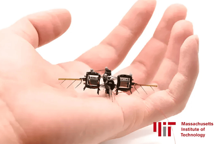 Tiny Robotic Insects for Pollination and Sustainable Farming Tiny Robotic Insects for Pollination and Sustainable Farming