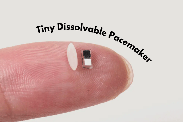 Self-Dissolving Pacemaker for Newborns Self-Dissolving Pacemaker for Newborns