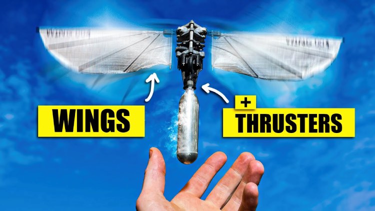 Youtuber Pioneers Ornithopter Project Aiming for Vertical Flight Youtuber Pioneers Ornithopter Project Aiming for Vertical Flight