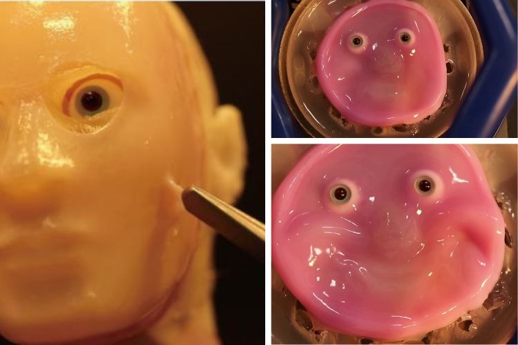 Human-Like Skin to Robots Human-Like Skin to Robots