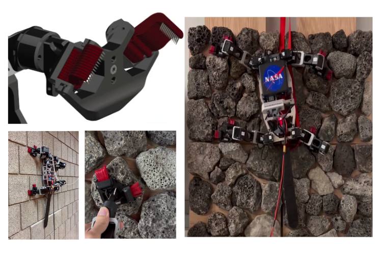 Microspine Technology Microspine Technology
