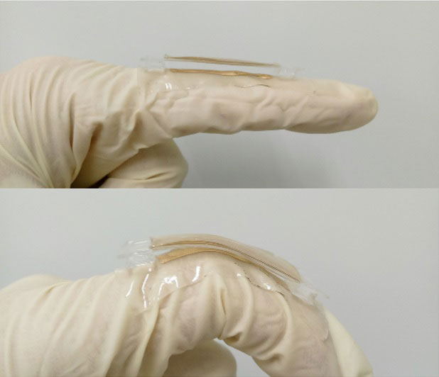Triboelectric Nanogenerator Triboelectric Nanogenerator