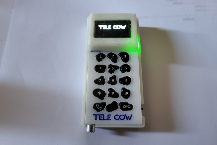 Pi Tele Cow Pi Tele Cow