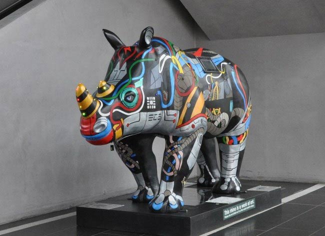 Raspberry Pi Powered Rhino - 'Erica' Raspberry Pi Powered Rhino - 'Erica'