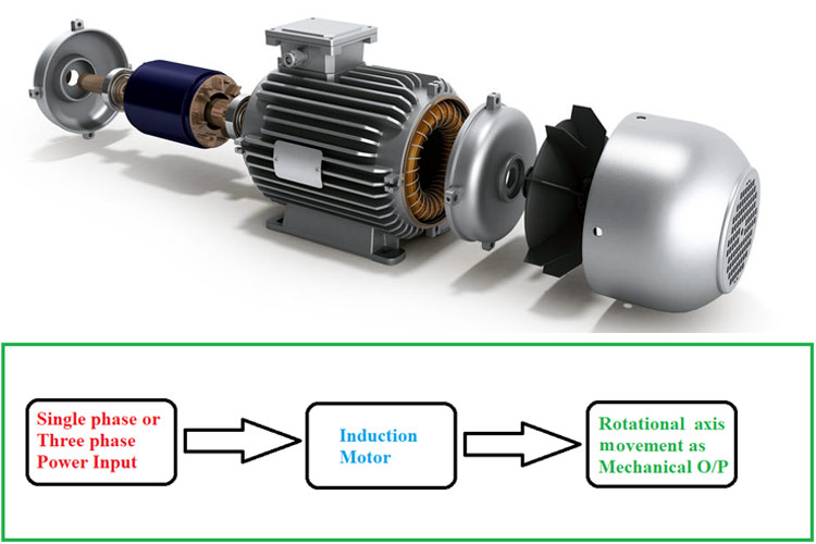 Induction Motor Working Principle Induction Motor Working Principle