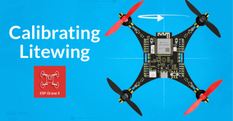 Calibrating LiteWing