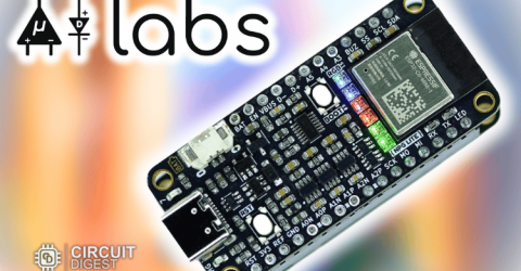 Neuro PlayGround Lite