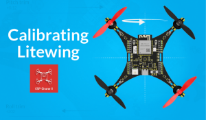 Calibrating LiteWing