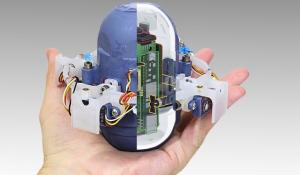 CARL: An Underwater Robot 