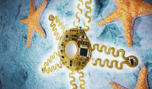 Starfish-Inspired AI Heart Monitor